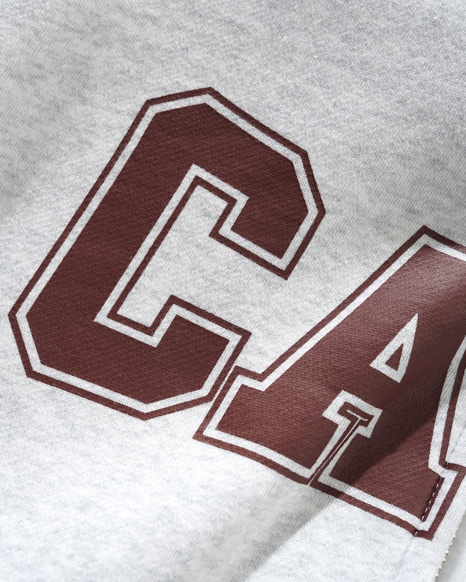 Campus Zip-Thru Hood, Ash