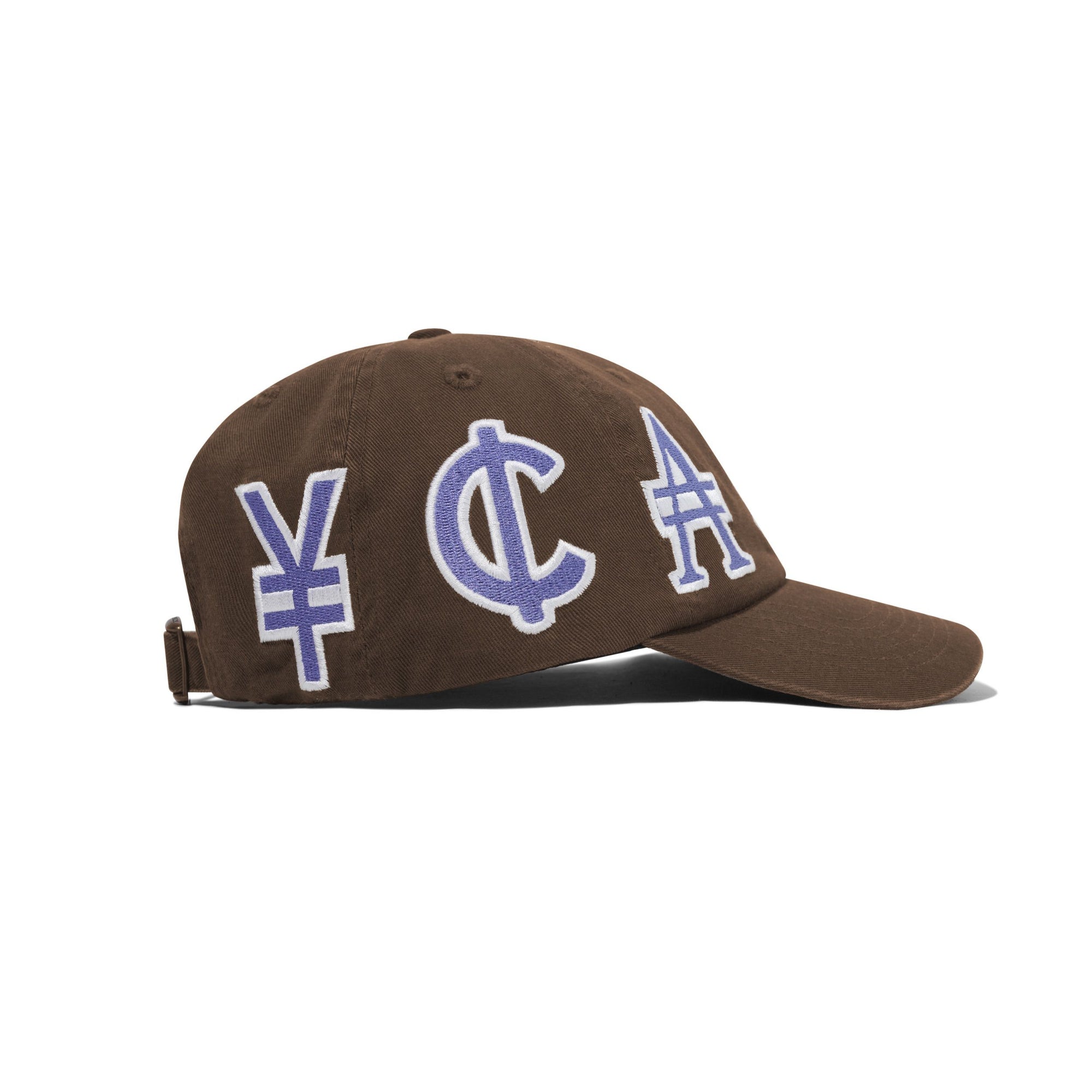 Currency 6 Panel Cap, Dark Brown