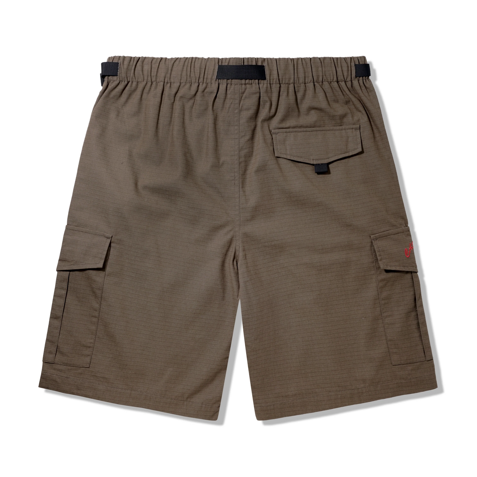 All Terrain Cargo Shorts, Brown  