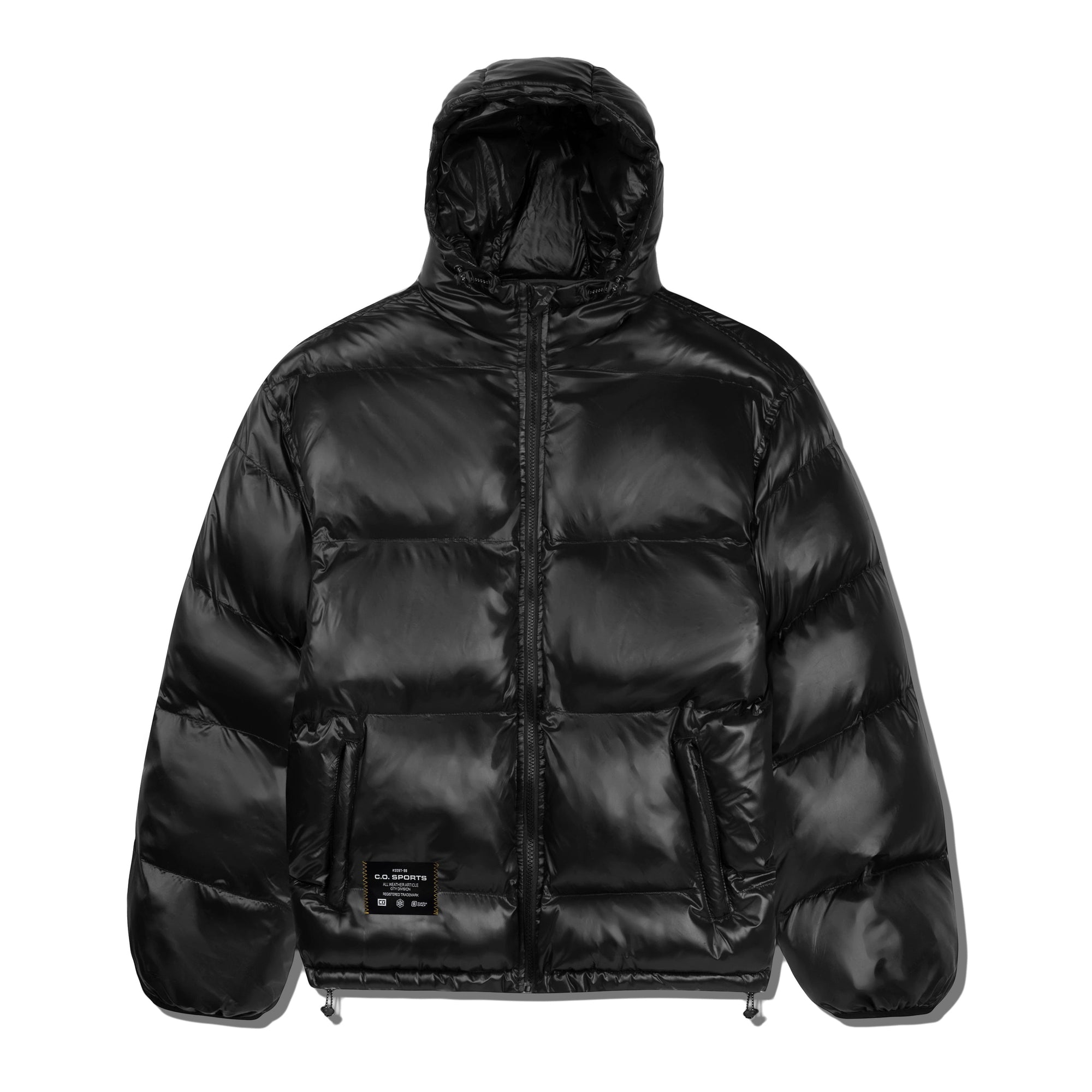 Shiny Logo Hooded Puffer Jacket, Black