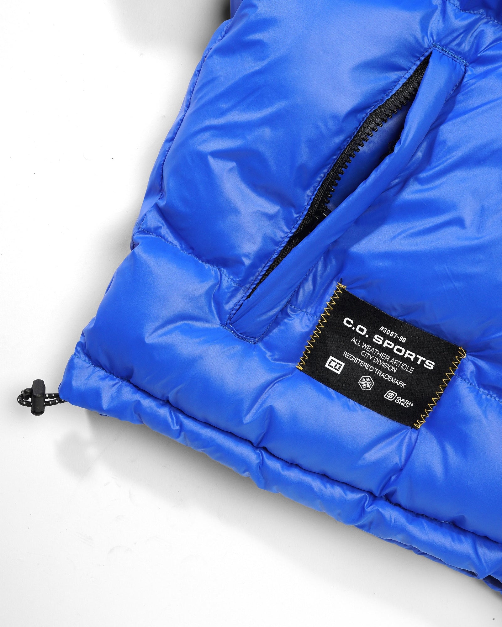 Shiny Logo Hooded Puffer Jacket, Blue