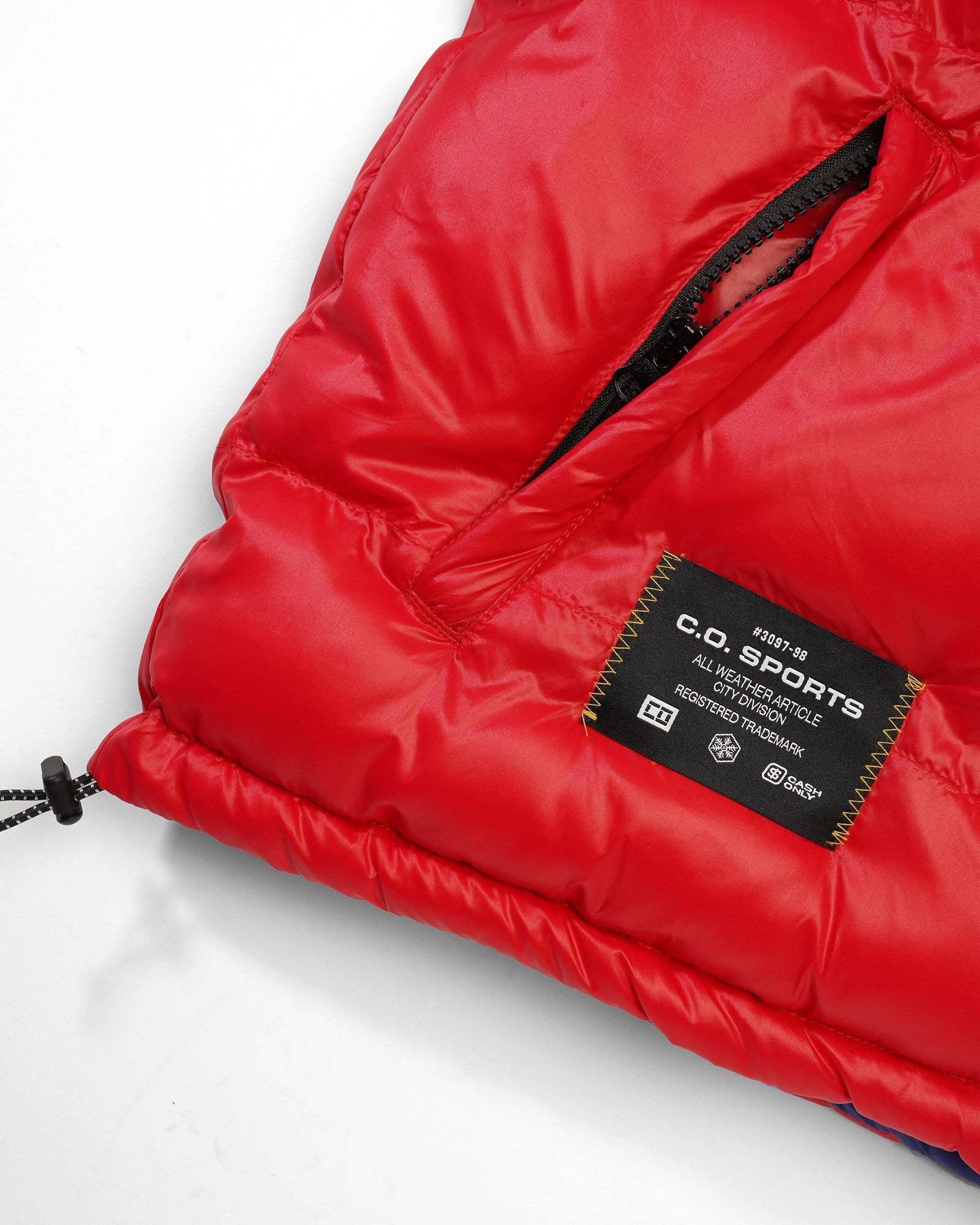 Shiny Logo Hooded Puffer Jacket, Red